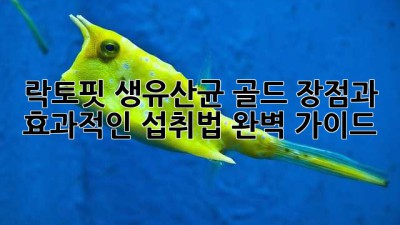 락토핏 생유산균 골드: 장점과 효과적인 섭취법 완벽 가이드